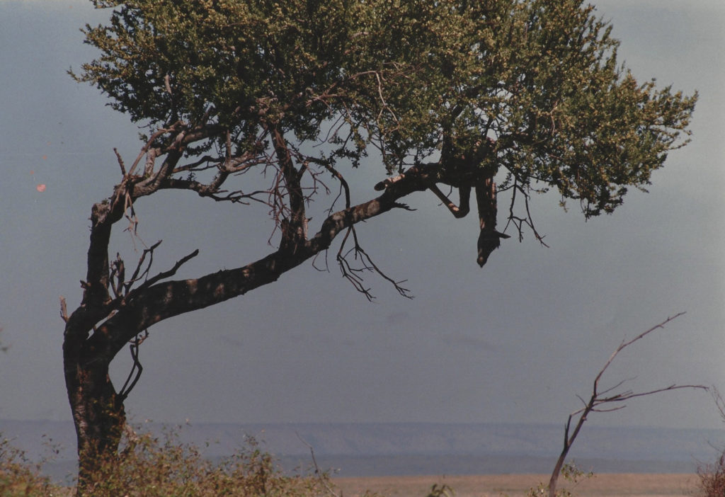 Worries worse in isolation