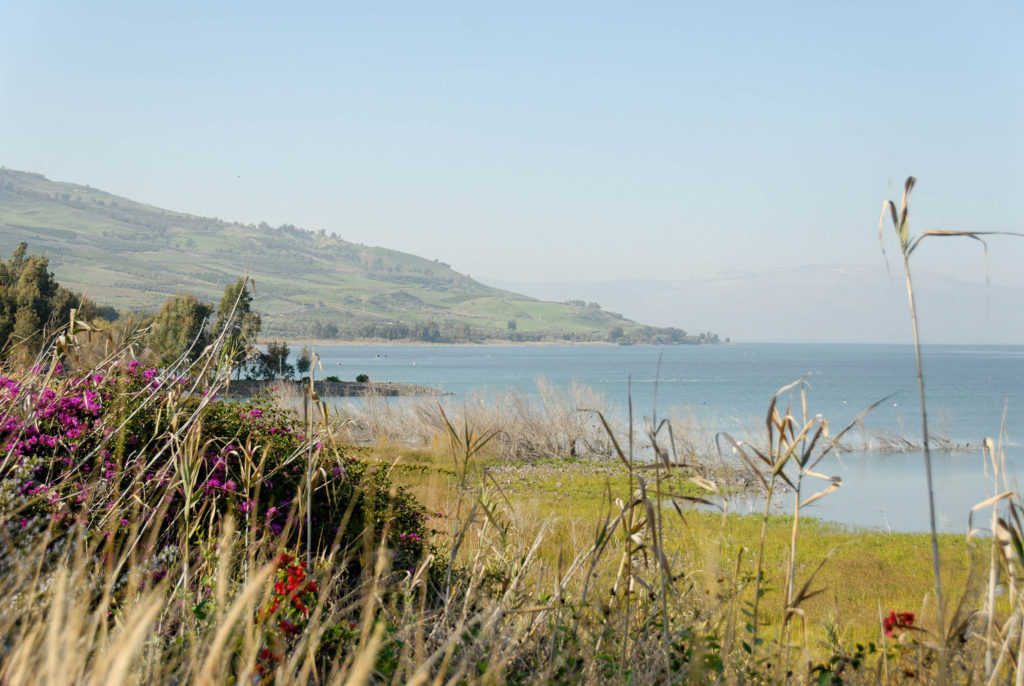 Happier Sea of Galilee