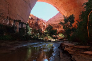 Magical Escalante River