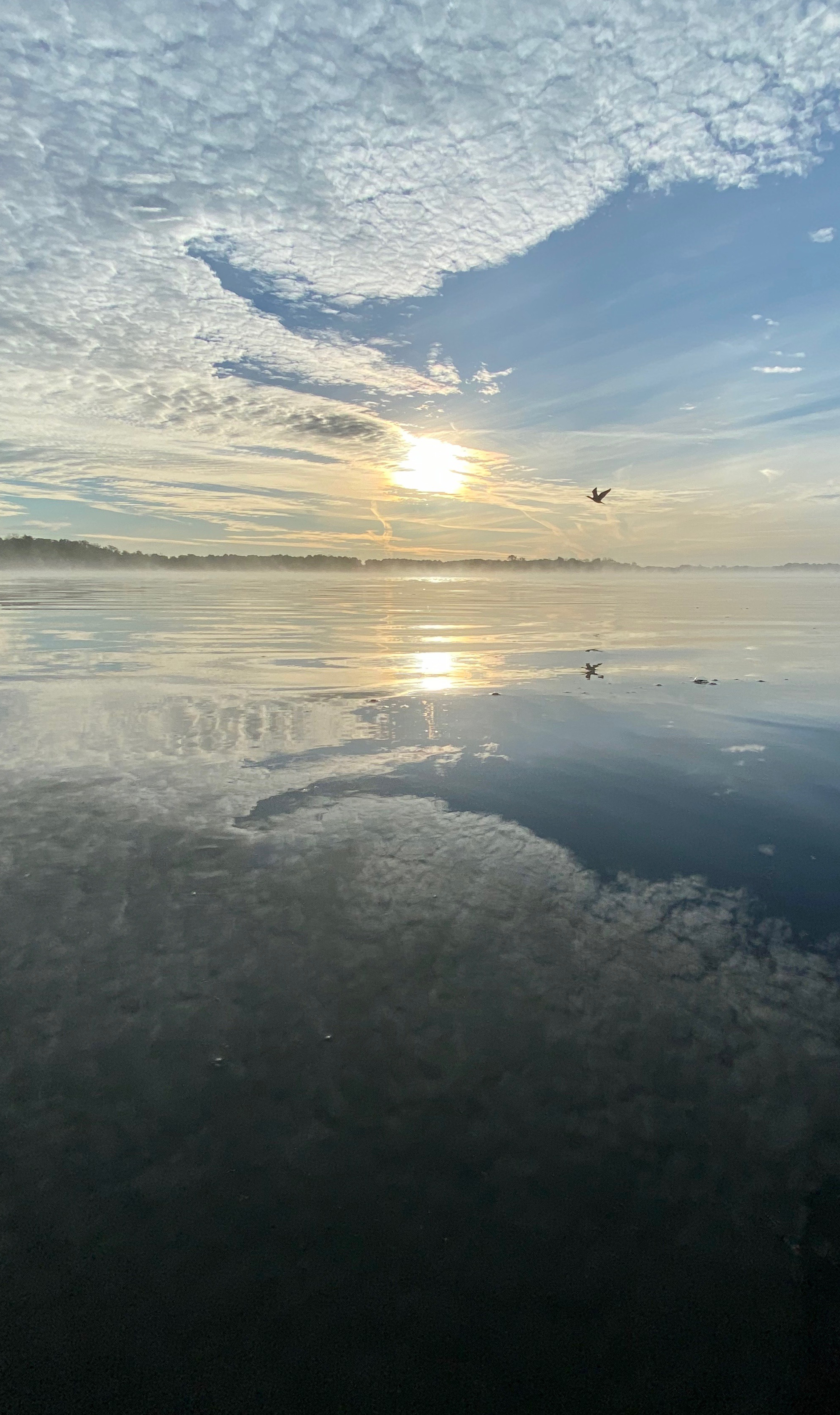 LakeAthenssunriseorigina Steve Blaising