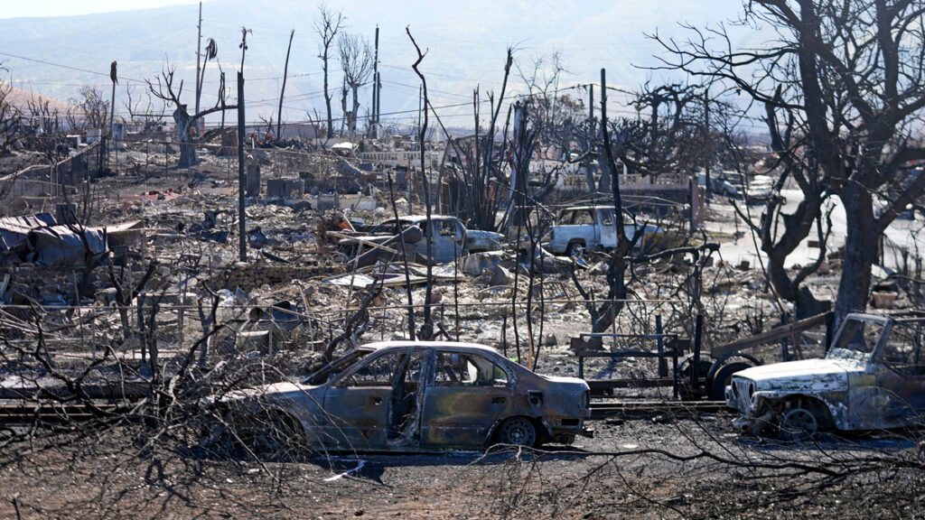 Maui wildfires and survival