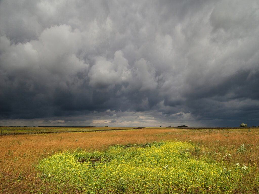 Thunderstorm fear and peace