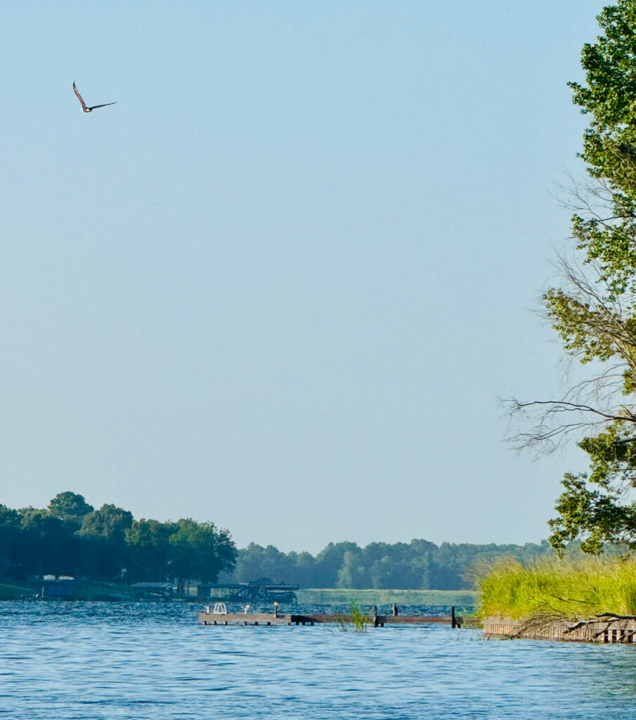 Bald Eagle Lake Athens